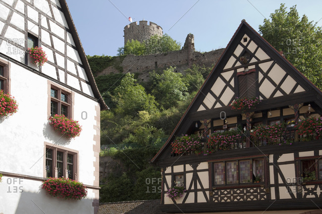 Medieval houses and castle ruins in background, Kaysersberg, Alsace, France