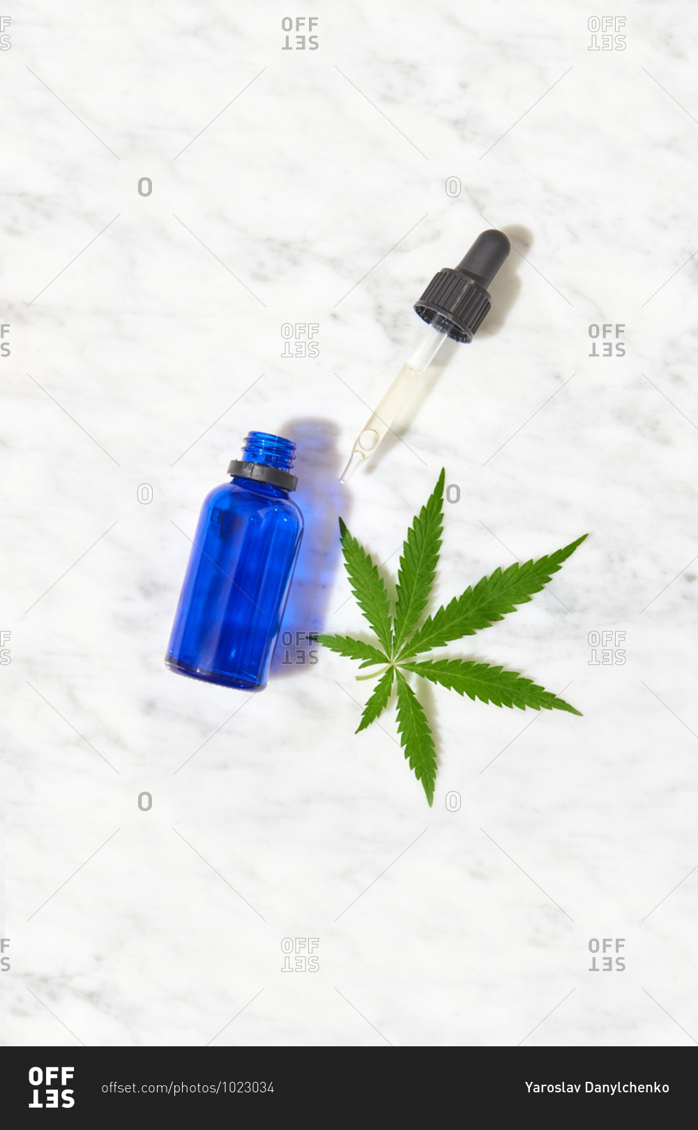 Natural extract CBD oil from medicinal cannabis leaves.