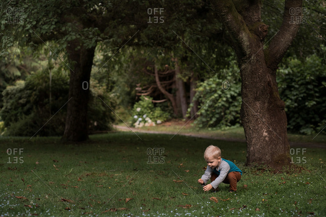 Toddler boy crouching in grass under a tree