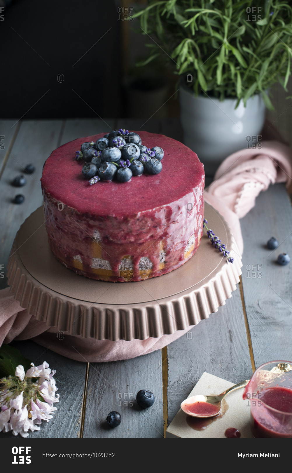 A glazed layer cake with fresh blueberries and lavender flowers