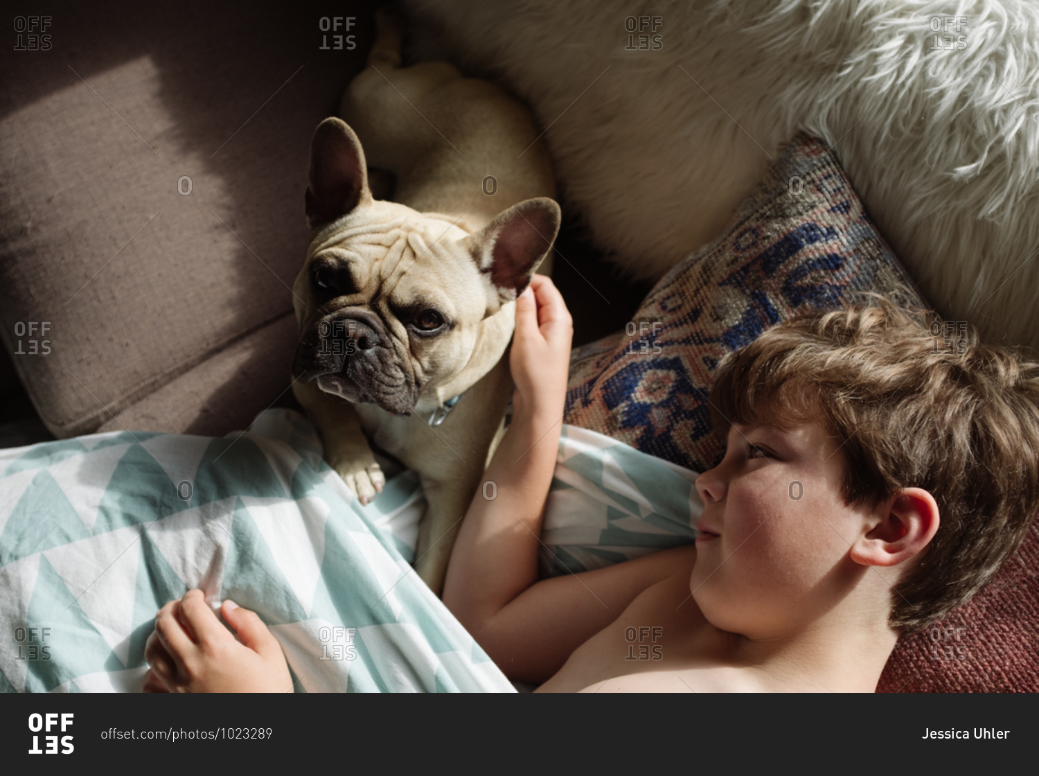 Young boy resting on sofa with his dog