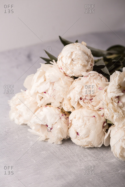 A bunch of light beige fresh peony flowers on the table