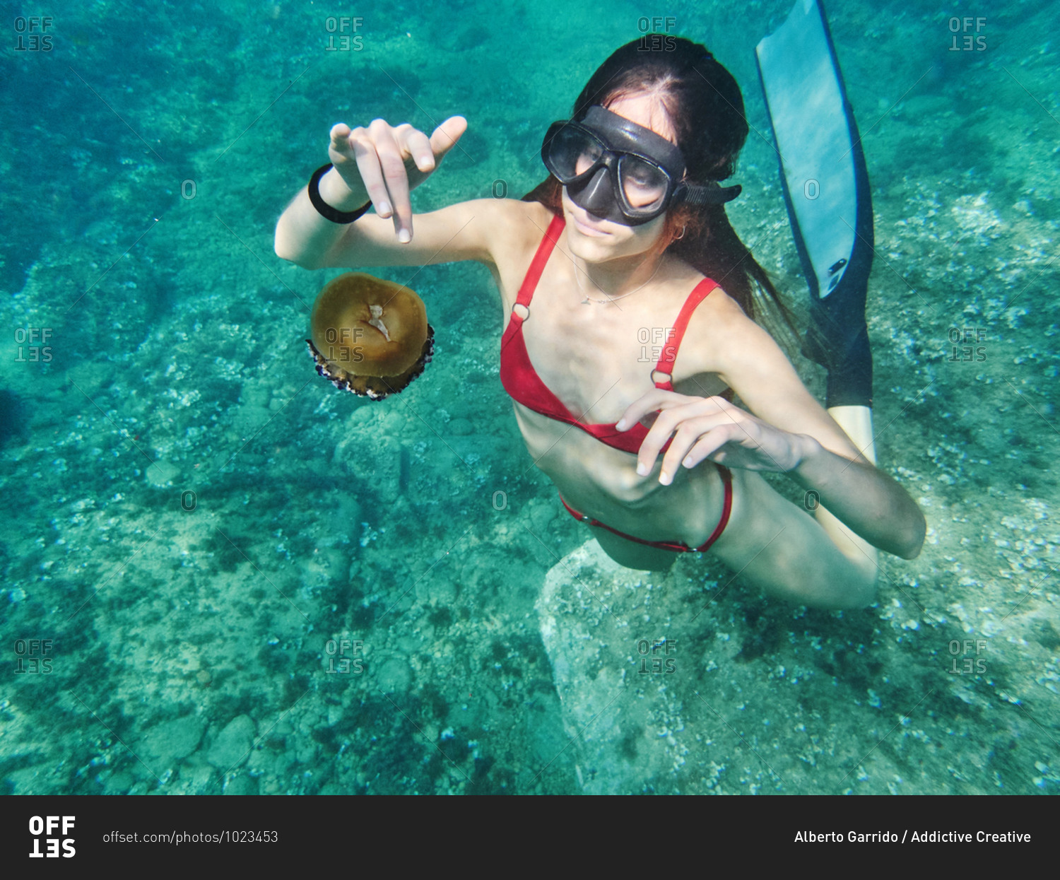 Unrecognizable young woman in diving mask swimming in deep transparent sea water and exploring jellyfish