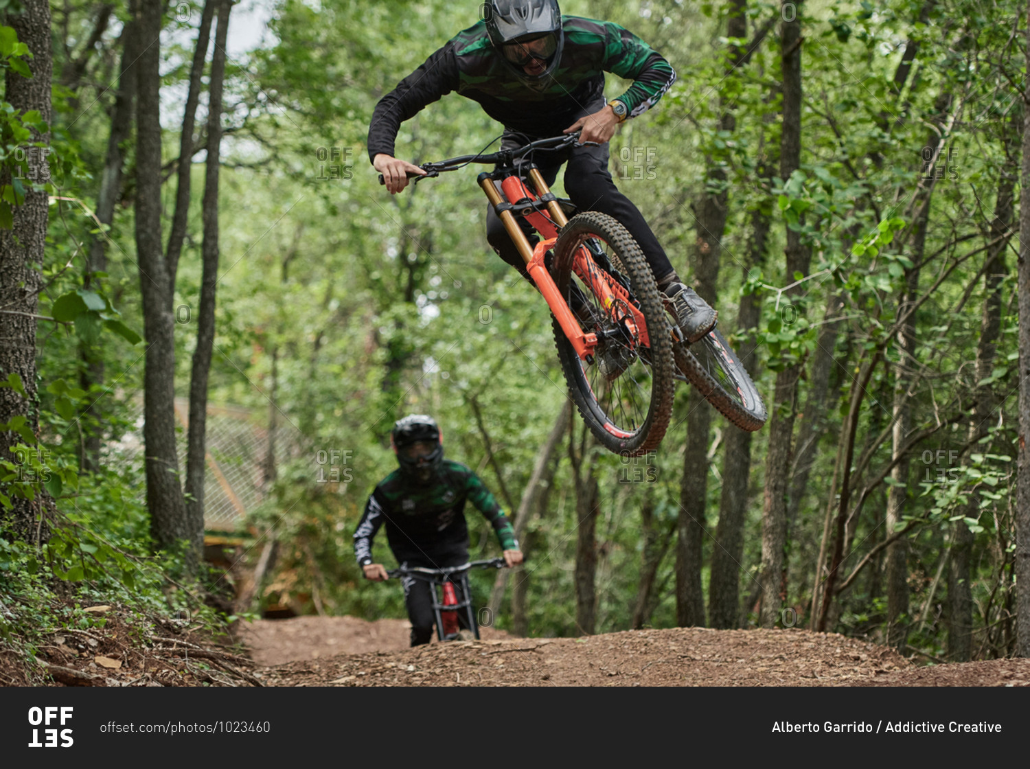 Male cyclists in protective helmets and costumes performing dangerous stunts on bikes for downhill on trail in forest