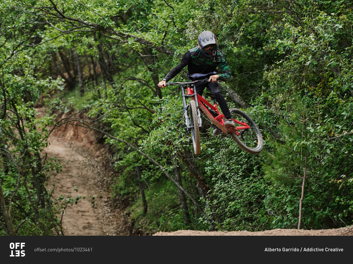 Low angle of brave male in helmet performing extreme trick
on bicycle for downhill in woods stock photo - OFFSET