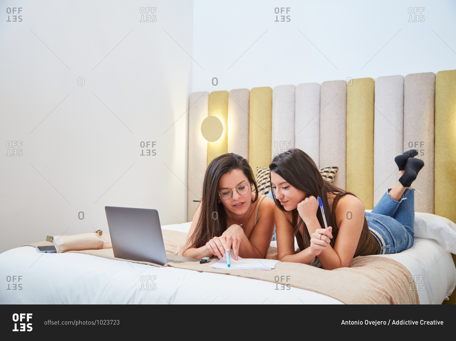 Young female friends lying on bed with laptop and reading documents while preparing for exam together