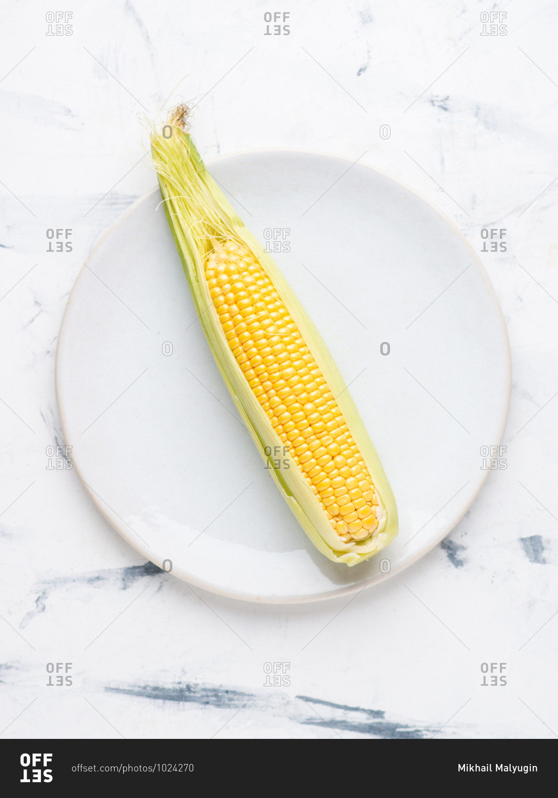 Overhead view of raw fresh yellow corn on the cob served on plate over white background