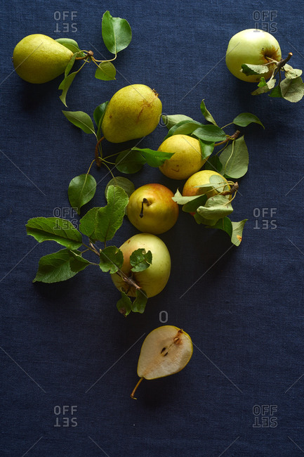 Fresh raw organic pears and apples from the garden with leaves and stems on dark blue background