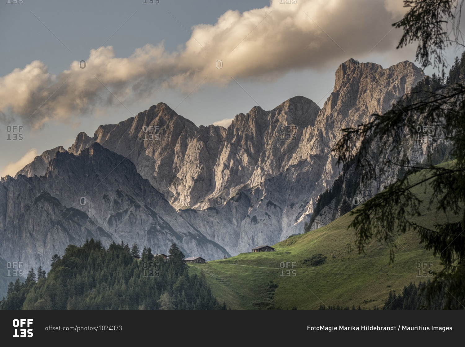 Alpine pastures in the mountains, Berchtesgaden, Berchtesgadener Land, Upper Bavaria, Bavaria, Germany, Alps, mountains, Berchtesgadener Berge,