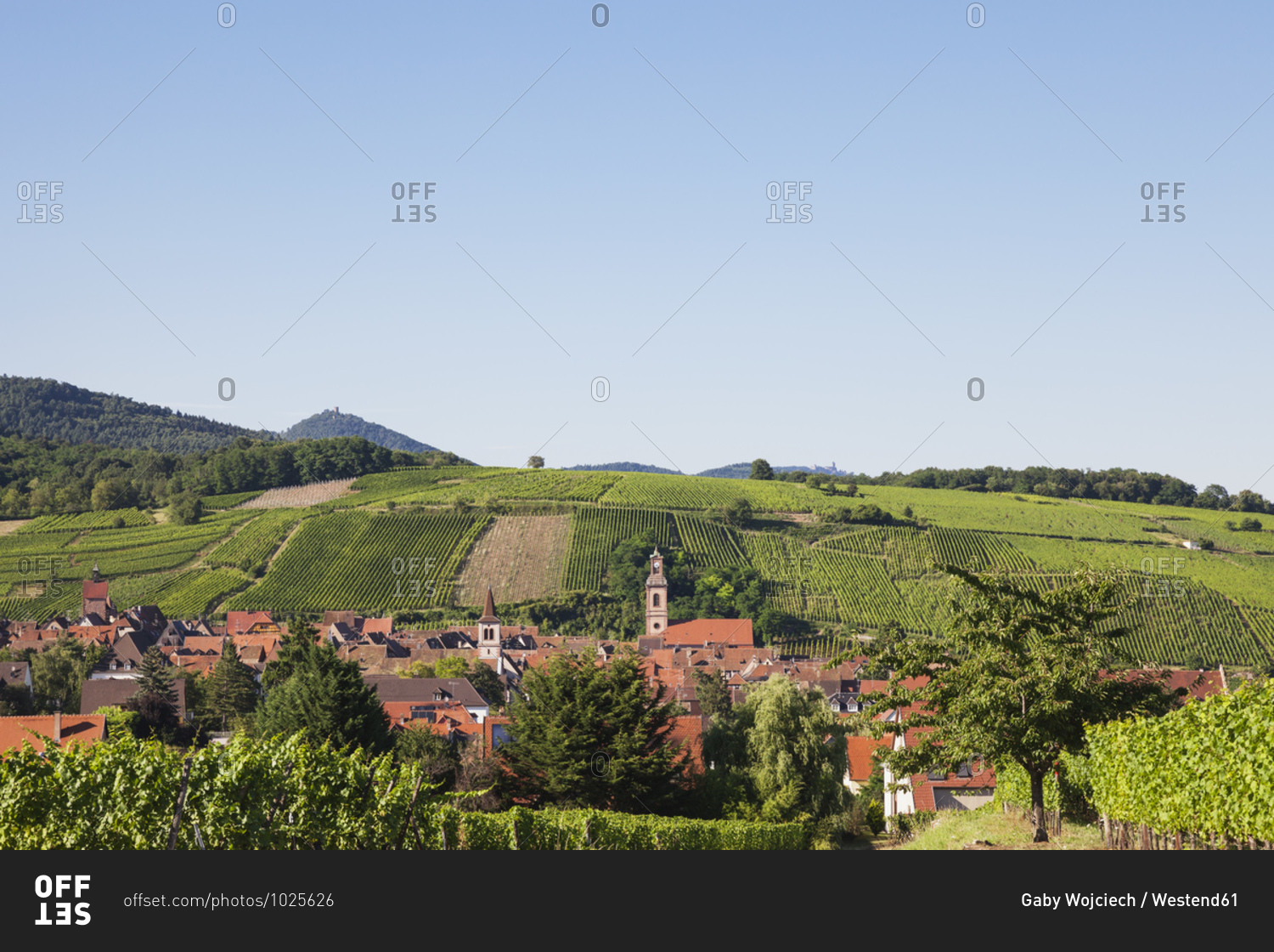 France- Haut-Rhin- Riquewihr- Clear sky over countryside village and surrounding vineyards in summer