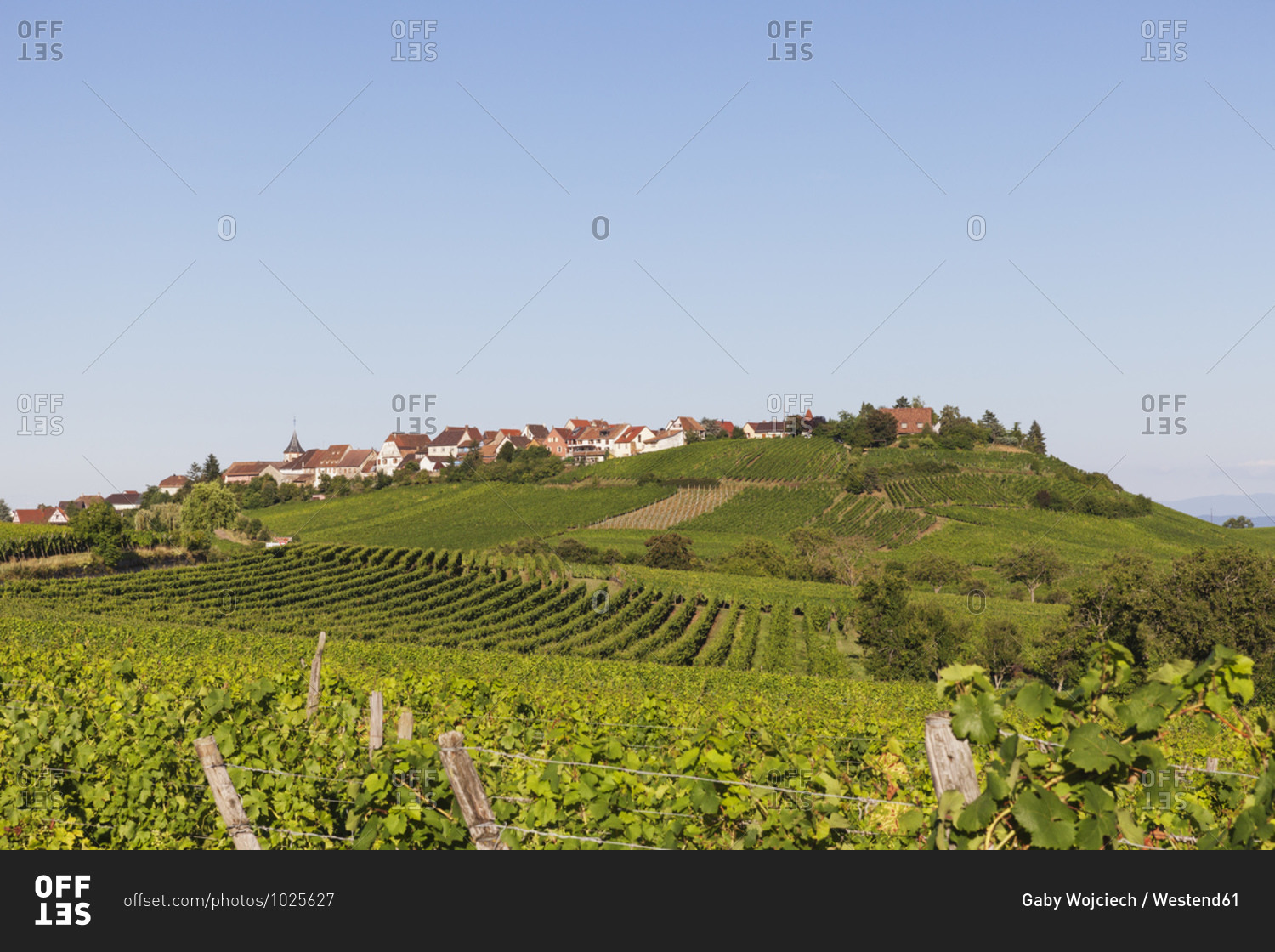 France- Haut-Rhin- Riquewihr- Clear sky over countryside village and surrounding vineyards in summer