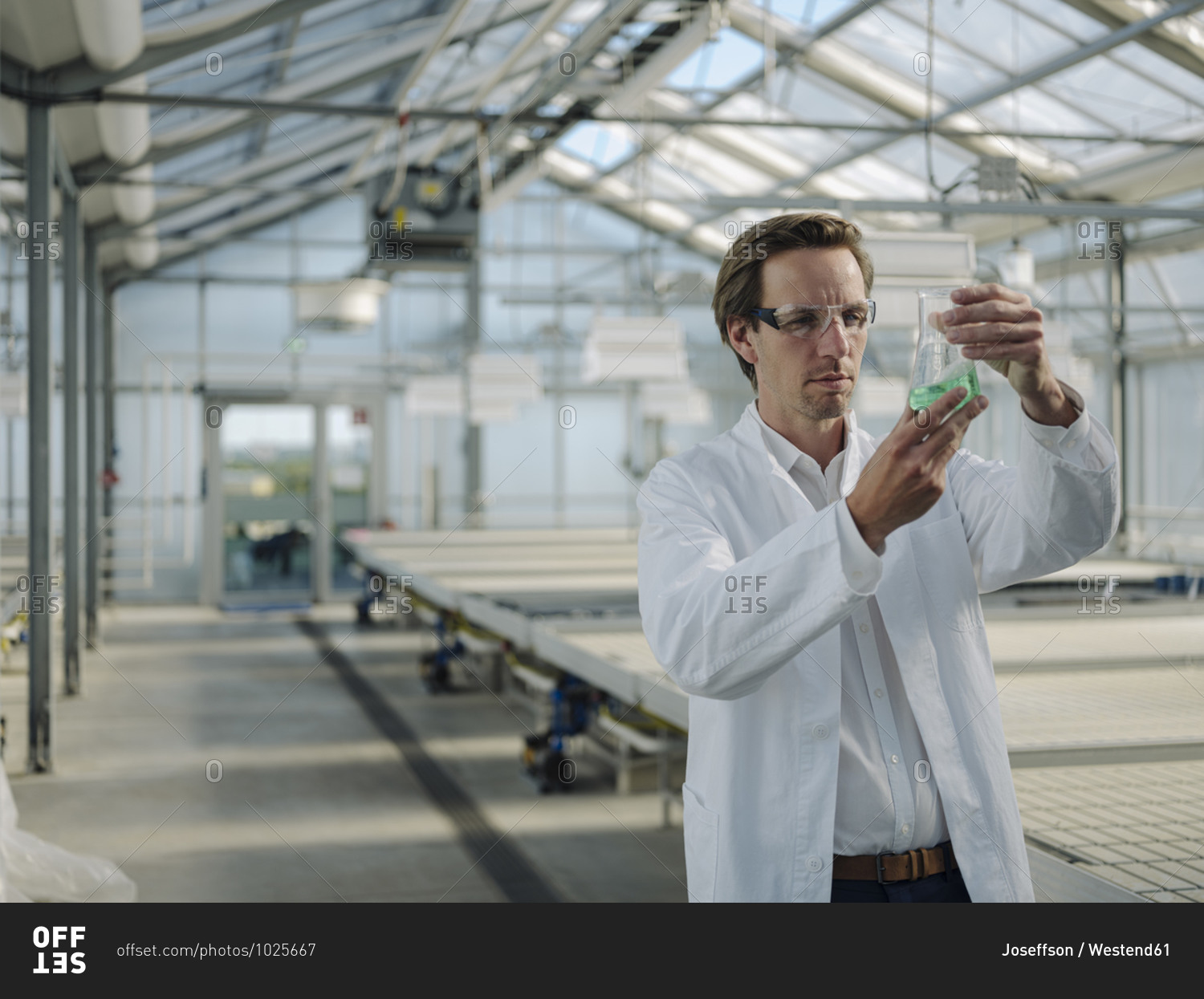 Scientist examining liquid in a greenhouse