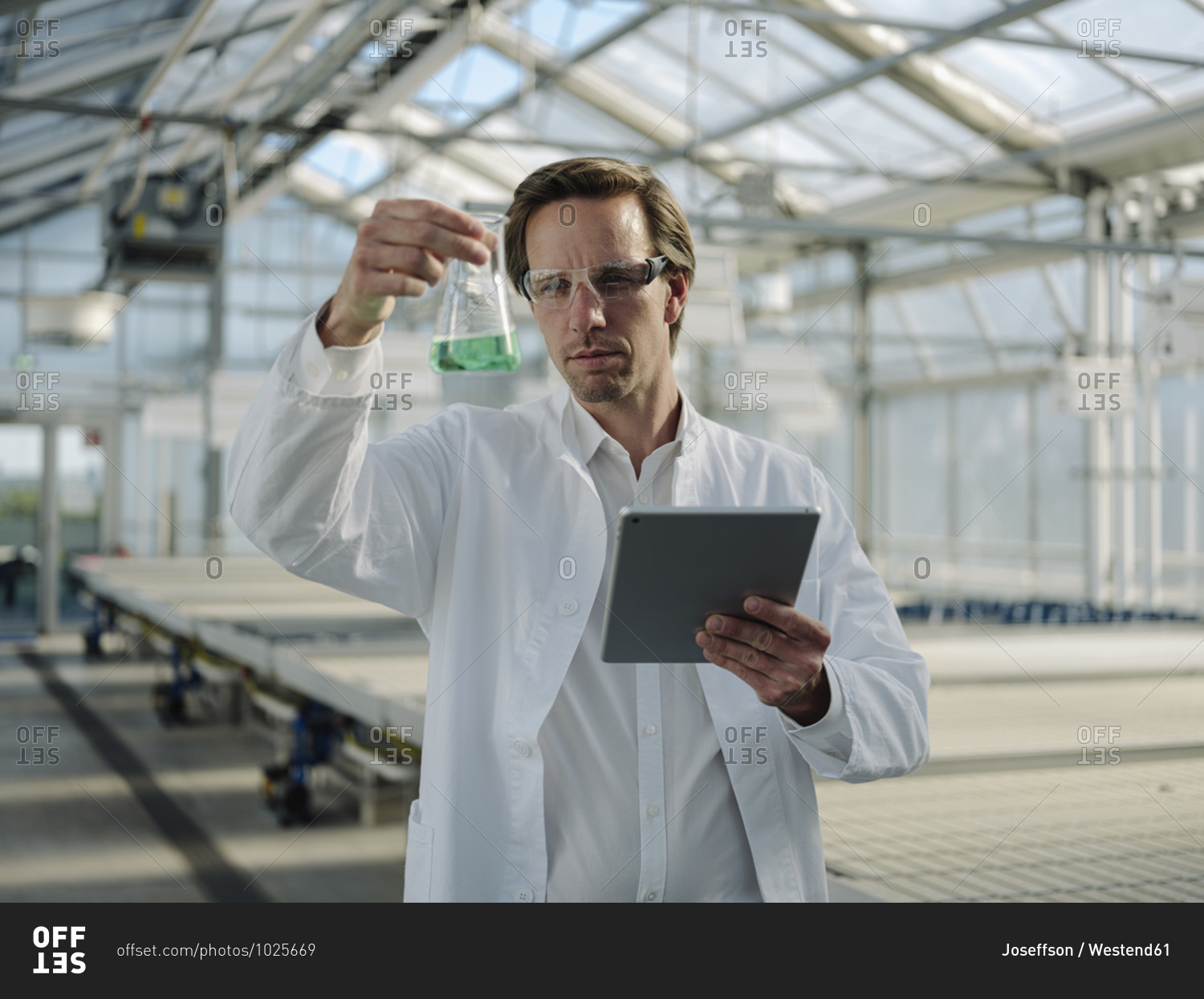 Scientist with tablet examining liquid in a greenhouse