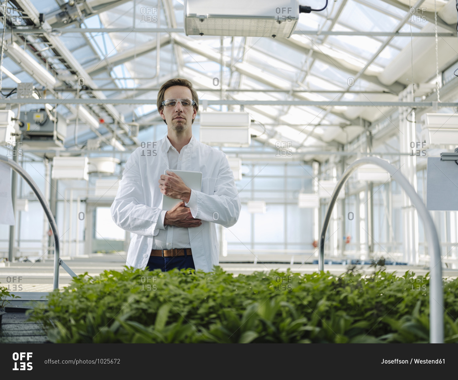 Portrait of a confident scientist holding tablet in a greenhouse