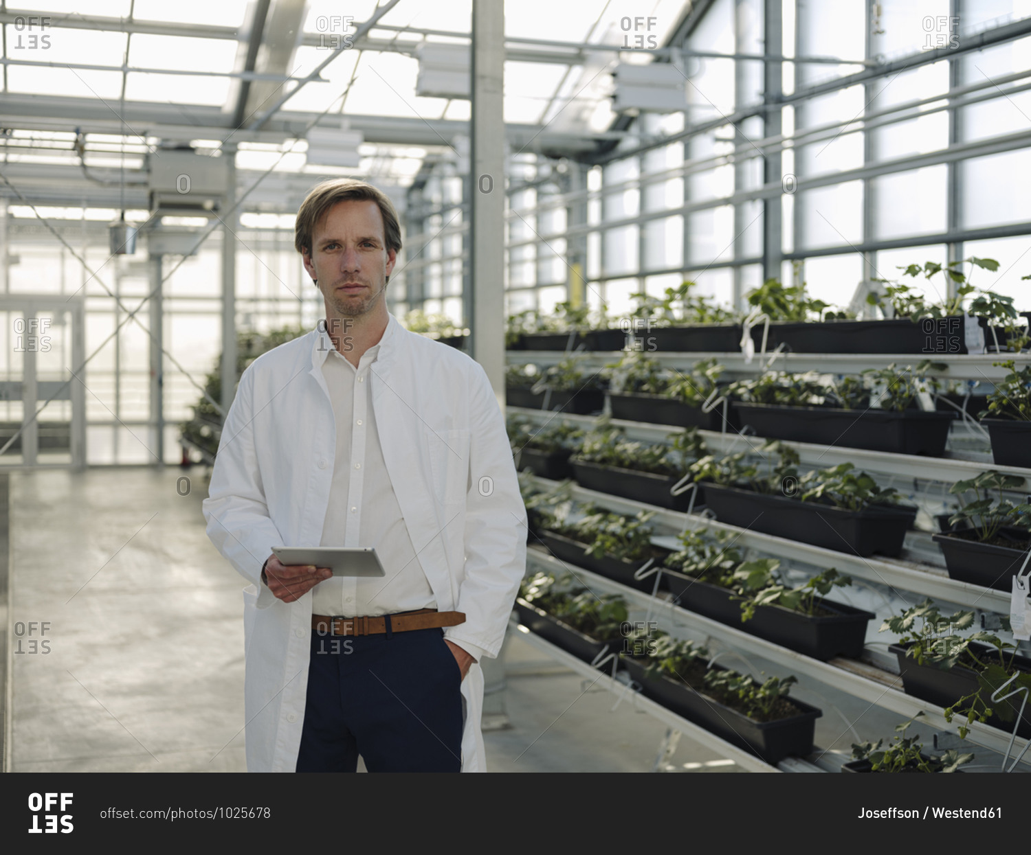 Portrait of a scientist holding tablet in a greenhouse