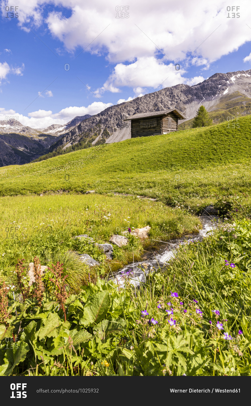 Swiss Alps in summer with secluded hut in background