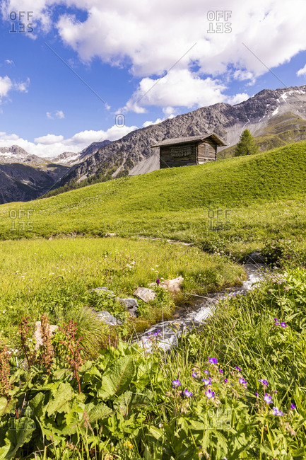 Swiss Alps in summer with secluded hut in background