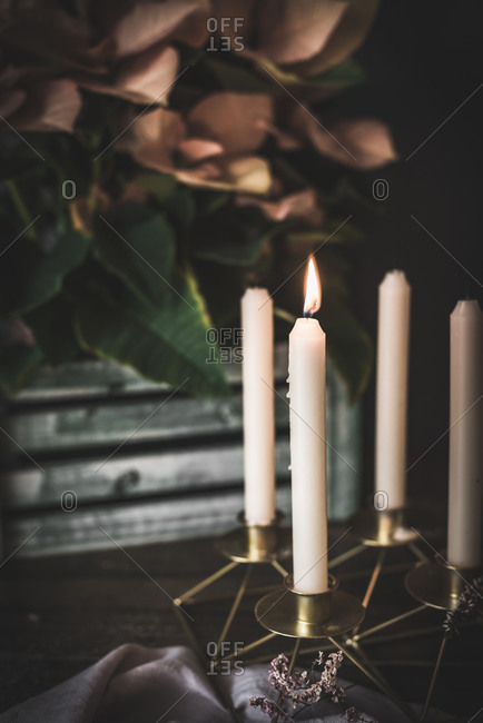 Burning candles in metal candlestick arranged on table with delicate Poinsettia in dark room