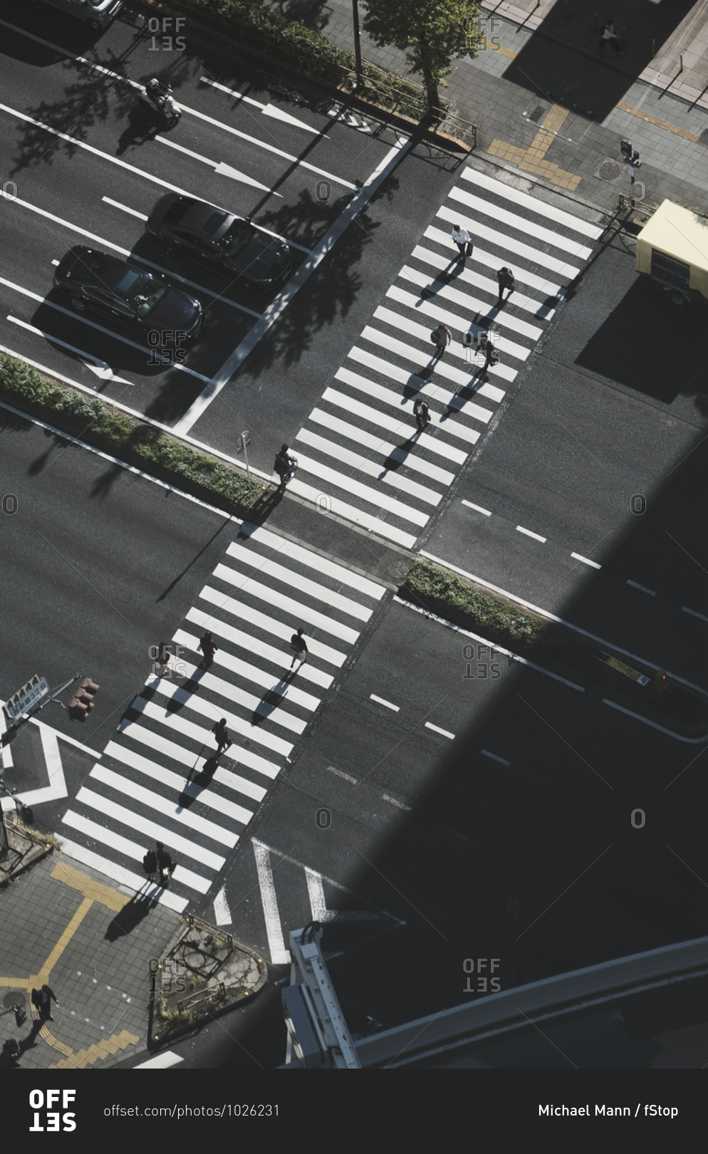 Aerial view pedestrians crossing city street at crosswalk, Tokyo, Japan