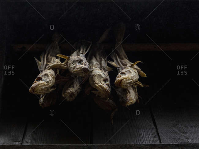 Dried fish on black background