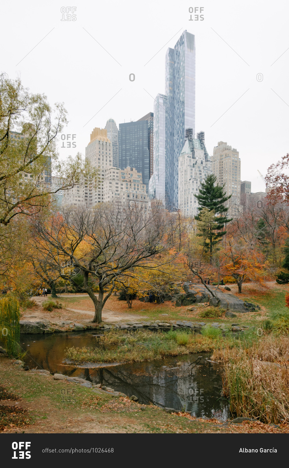View of tall buildings from Central Park in New York City, New York