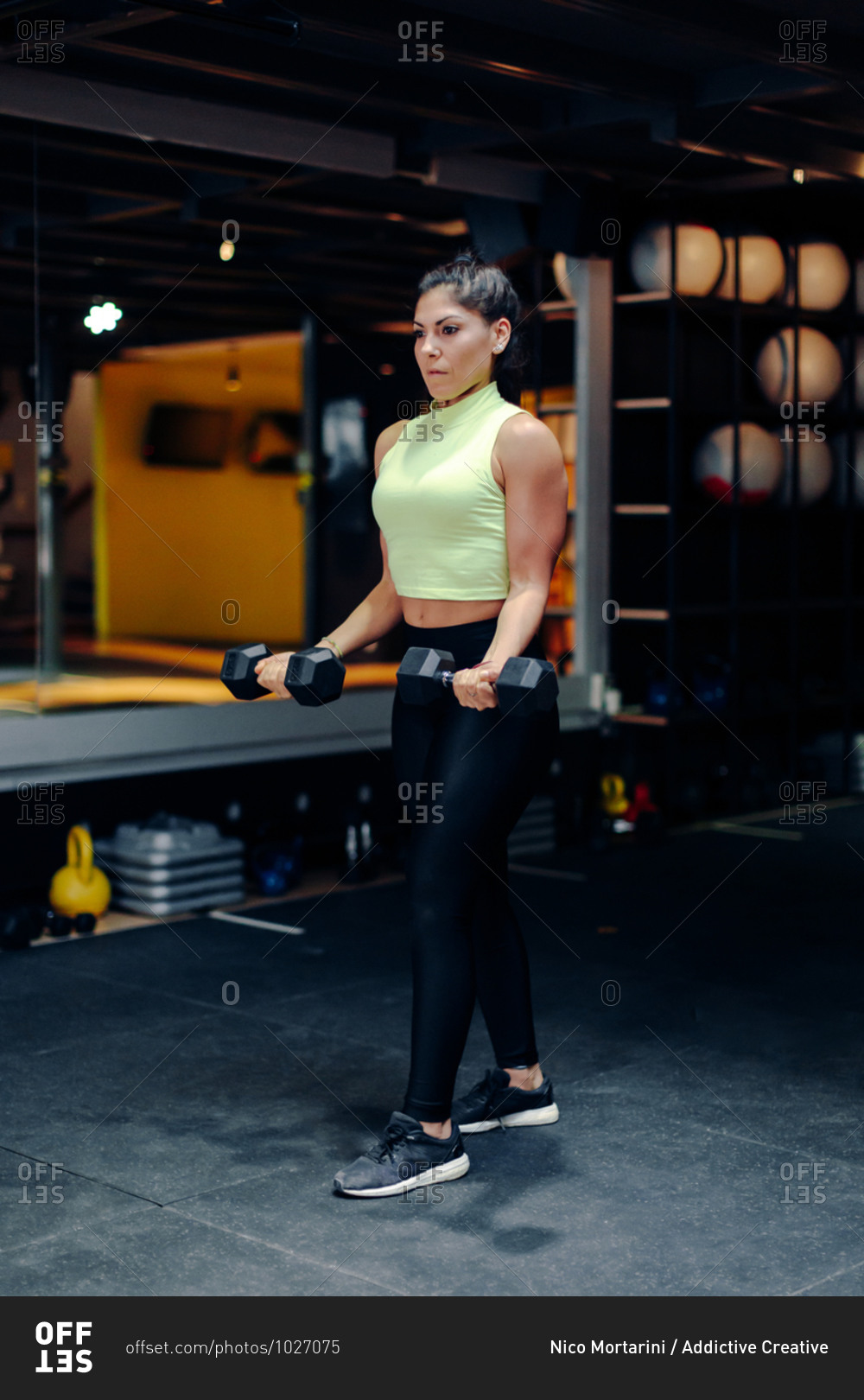 Full body of powerful muscular female athlete in sportswear doing exercise with dumbbells while training in modern gym