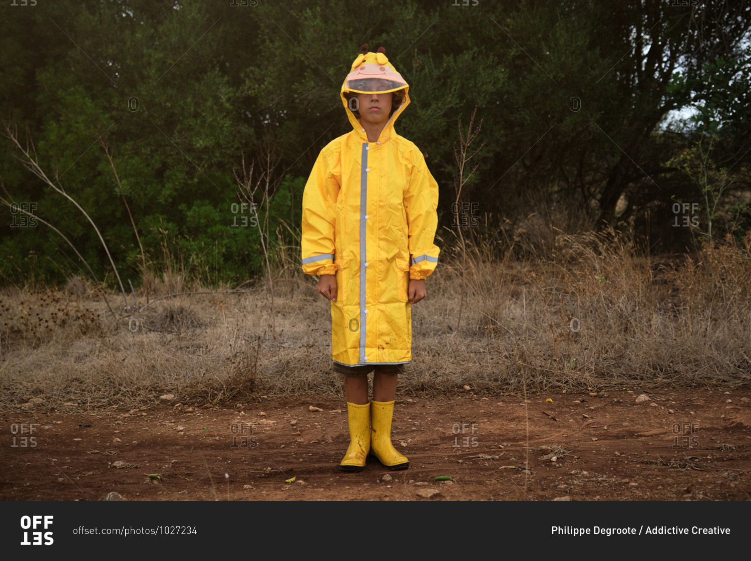 yellow mackintosh coat