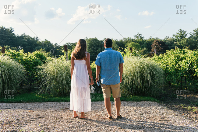 Couple holding wine and looking into vineyards from behind