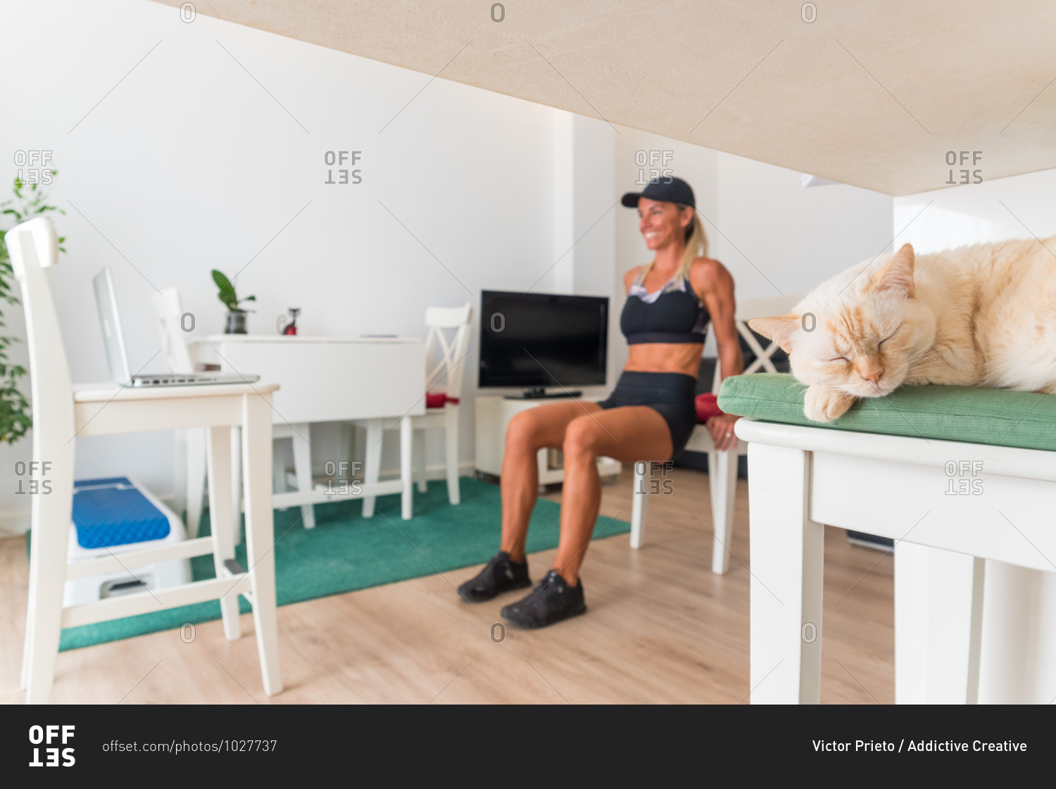 Adorable kitty relaxing in living room on background of fit female watching online tutorial and training at home