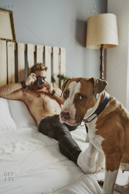 A young blond boy taking pictures of his dog in bed