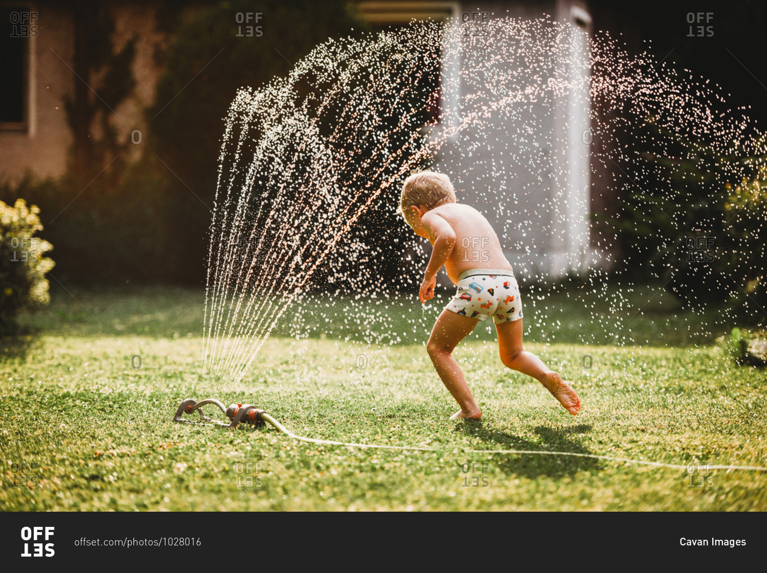 Young white boy running under the water from the sprinkler in garden