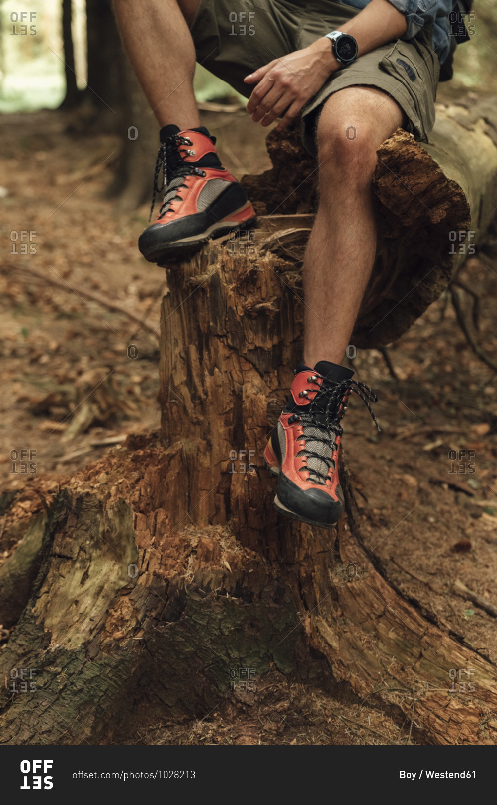 Close-up of mid adult man legs wearing hiking boot while sitting on wood in forest