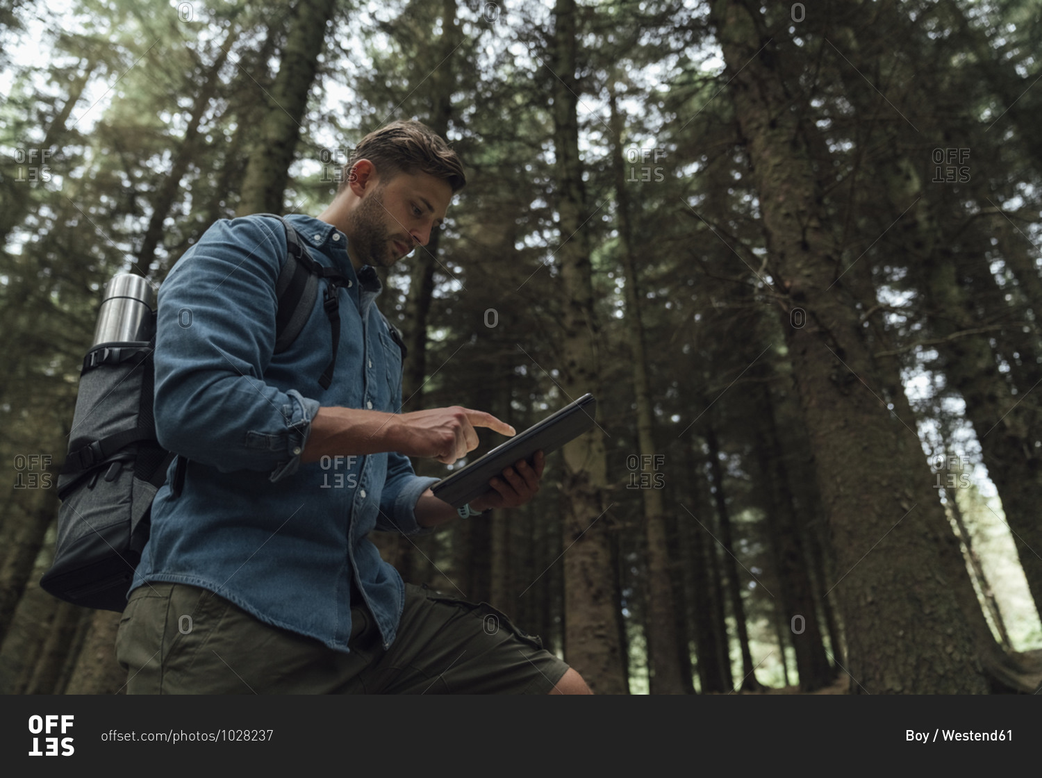 Man checking GPS over digital tablet while standing against trees in forest