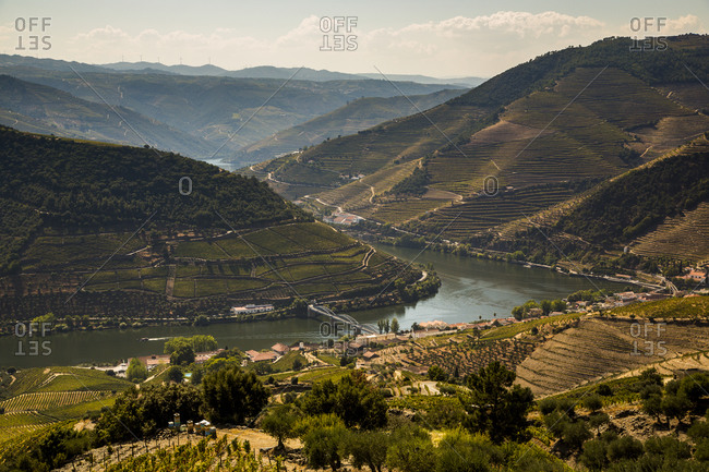 Scenic view of terraced hills surrounding river Douro