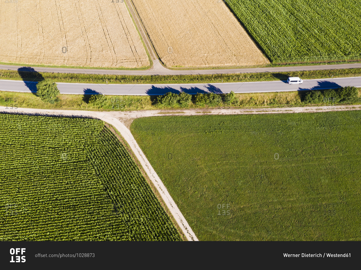 Aerial view of country road stretching between wheat and corn fields in summer