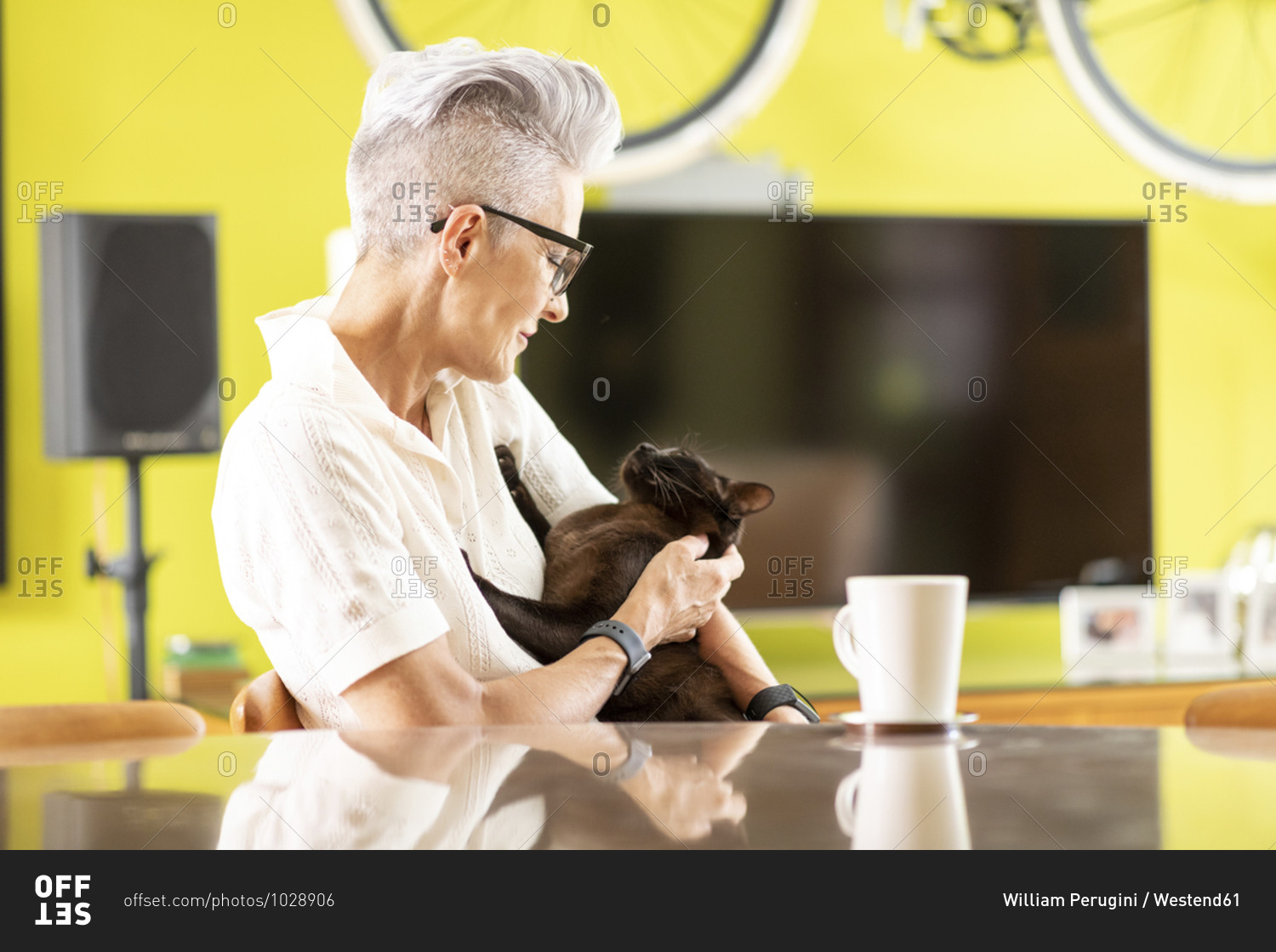 Senior woman playing with cat while sitting at home