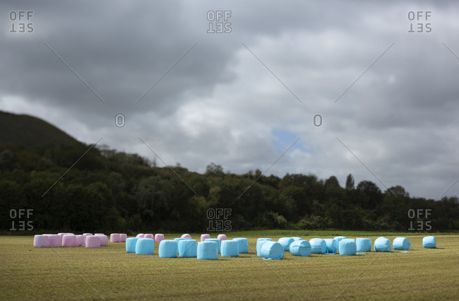 Hay covered in plastic in a field