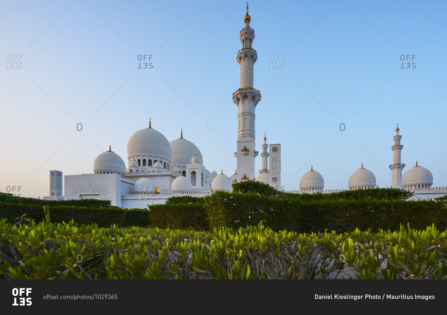 Dubai, UAE, Emirates, United Arabic Emirates, Middle East, Africa, Grand Sheikh Zayed Mosque, Blue Sky, Plants in foreground