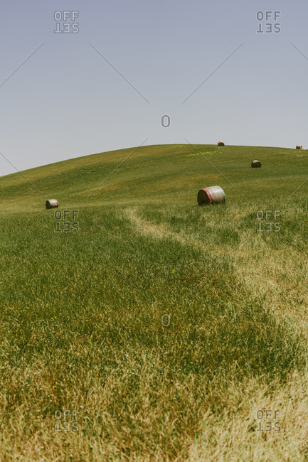 Europe, Italy, Tuscany, Tuscan Landscape, Province of Siena, Castiglione D\'orcia, Hay Balls on field,