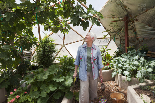 Smiling senior woman gardening in a geodesic dome, climate controlled glass house