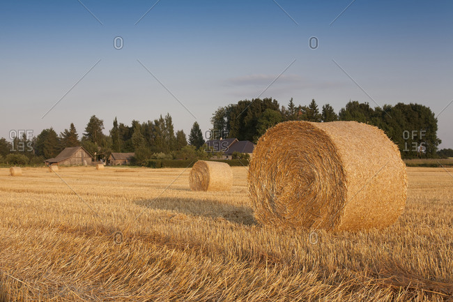 Bale of Hay in Field