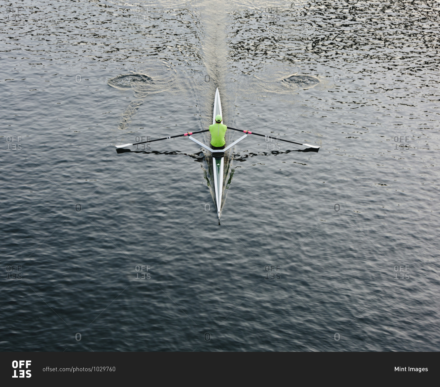 A single scull boat and rower on the water, view from above.
