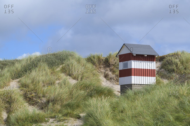 Small house as a sea mark in the dunes, vorupor, national park thy, thirsted, north sea, north Jutland, Denmark
