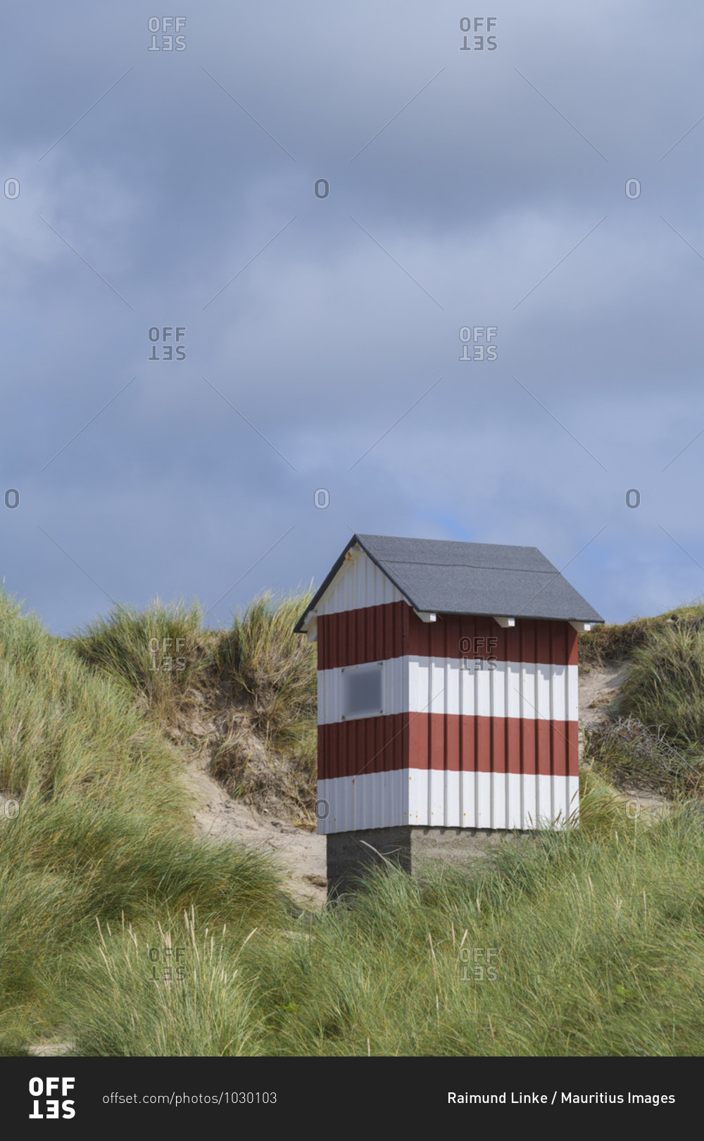 Small house as a sea mark in the dunes, vorupor, national park thy, thirsted, north sea, north Jutland, Denmark