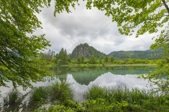 Mountain lake at morning in summer, almsee, almtal, upper austria, austria