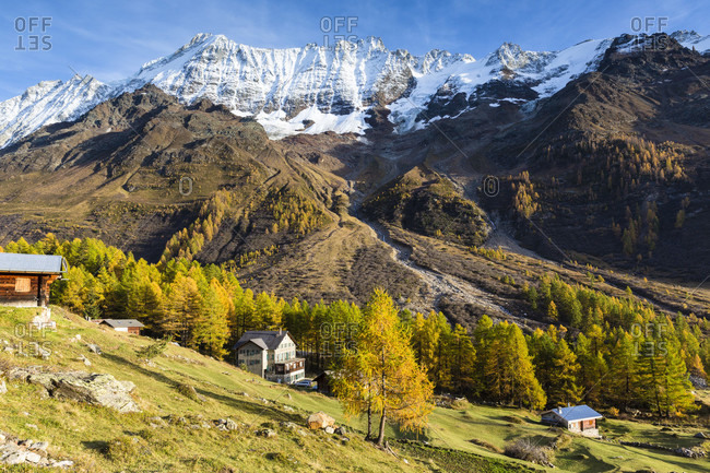 Alp in autumnal landscape in front of breithorn (3.785 m), loetschental, jungfrau region, unesco world heritage region, autumn