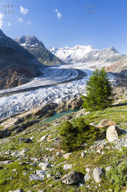 Swiss alps aletsch glaciers aginst mount wannenhorn (3906m), unesco world heritage, rhone valley
