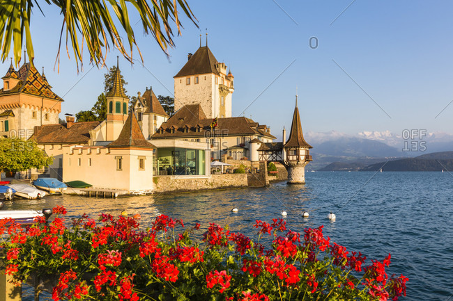 Geranium flower boxes in front of the oberhofen castle at lake thun, sunset