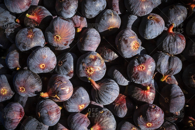Dark purple figs, bulgaria. Detailed shot.