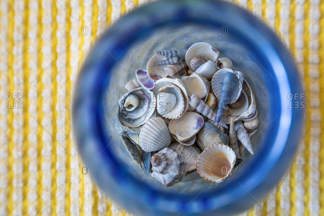 Seashells collection, souvenirs from summer holidays